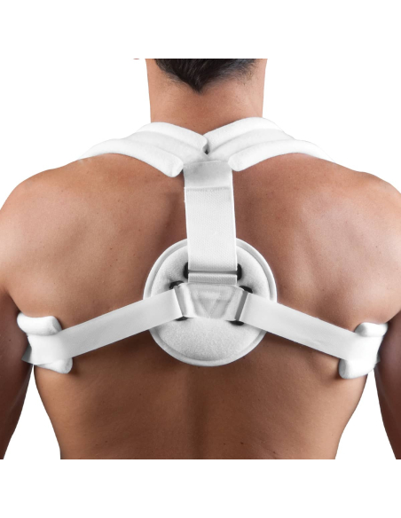 ANNEAU CLAVICULAIRE T1