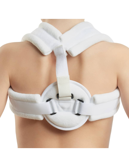ANNEAU CLAVICULAIRE T1