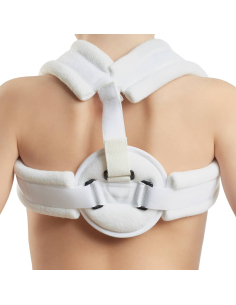 ANNEAU CLAVICULAIRE T1 2