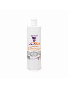 Gel HarpagoArnica -...