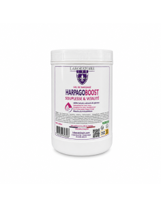 Gel HarpagoBoost - 1000ml pot