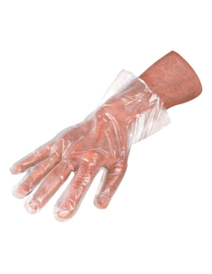 Gant polyéthylène x100
