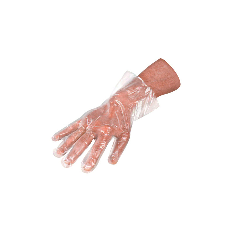 Gant polyéthylène x100