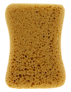 EPONGE GRAND LAVAGE CARLINEA