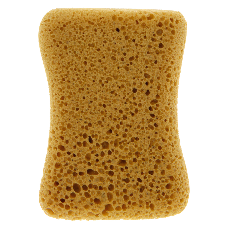 EPONGE GRAND LAVAGE CARLINEA