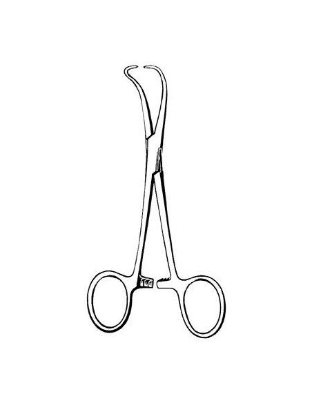 Pince à Champs de Backhauss 14 cm