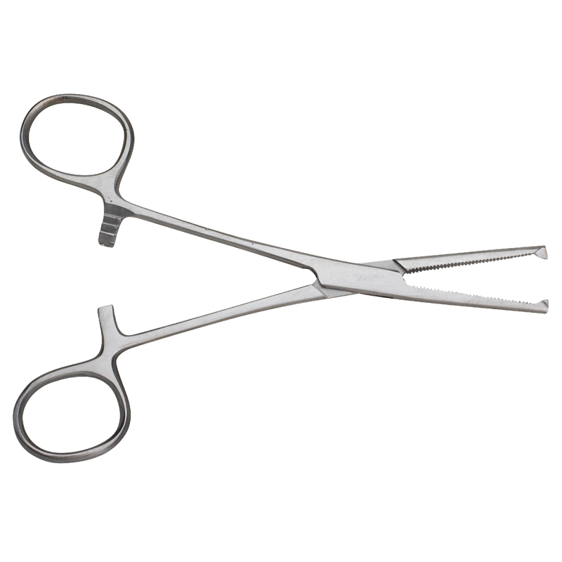 PINCE KOCHER DROIT AG 14CM JOLETI