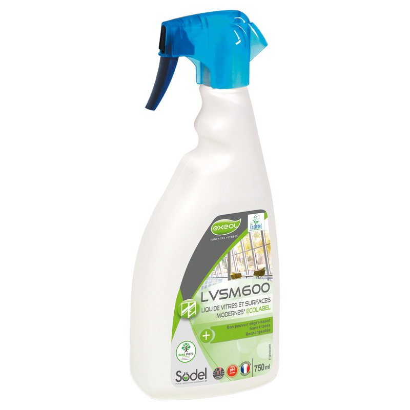 NETTOYANT VITRE LSVM600 750ML THE