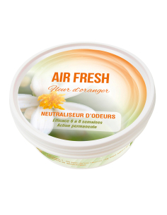 ABSORBEUR ODEUR AIR FRESH...