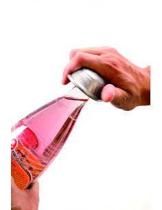 Ouvre - bouteille Dycem argent