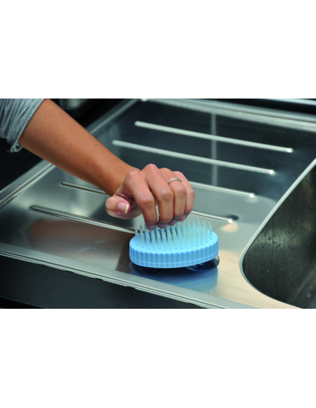 Brosse à ventouses