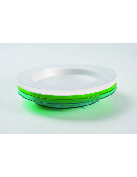 Assiette Ergo blanc ivoire
