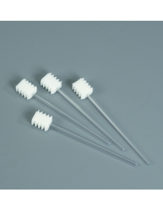 Bâtonnet mousse à dents x20