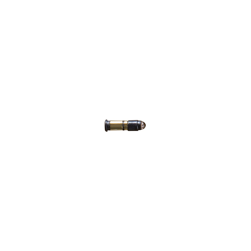 AMPOULE XENON HALOGENE 110