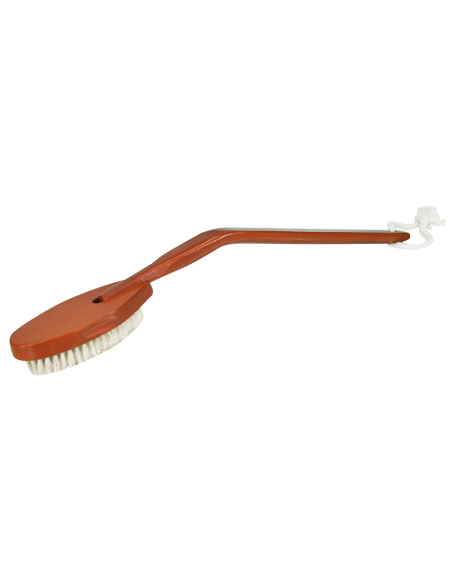 BROSSE BAIN LONG MANCHE BOIS