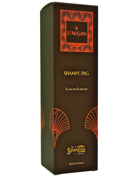 SHAMPOING HUILE ARGAN BIO 250ML