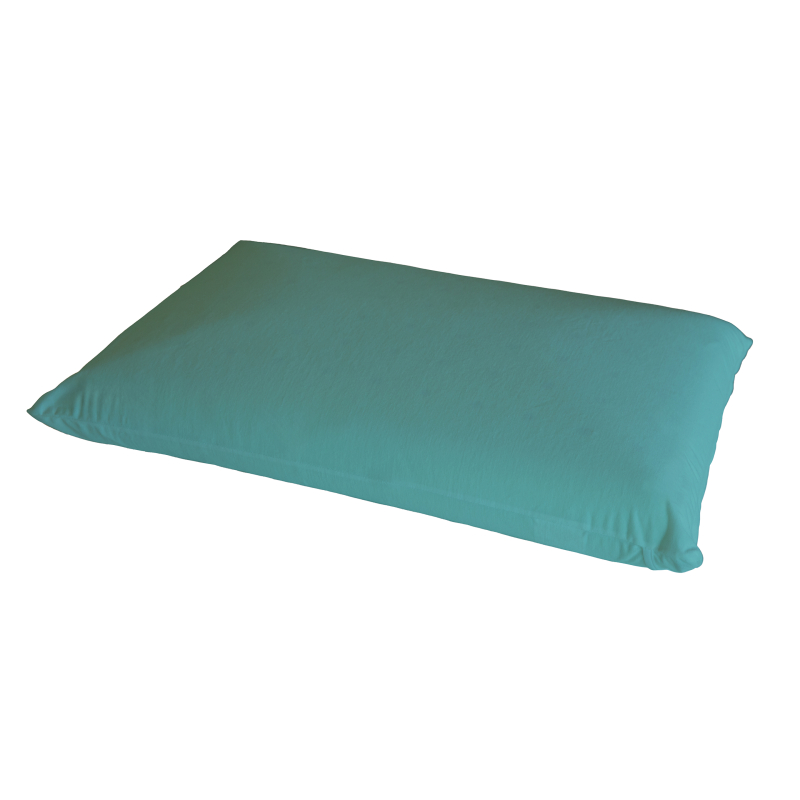 TAIE OREILLER B DERMO BLANC 31X50CM