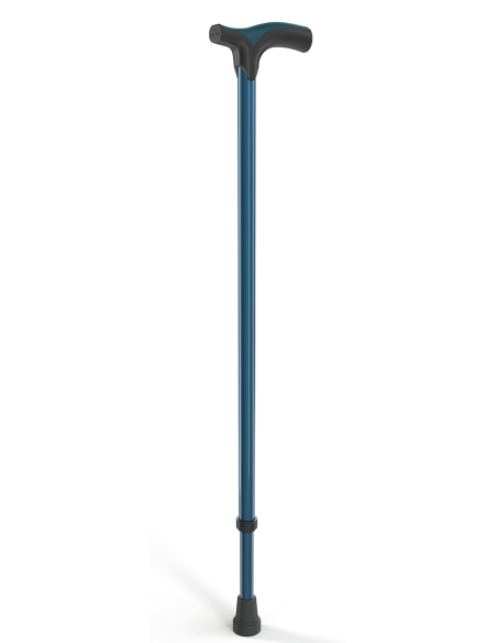 CANNE POIGNET T POP EPOXY BLEU VERT