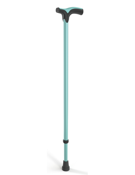 CANNE POIGNET T POP EPOXY MENTHE