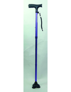 Canne Stabilicane violette