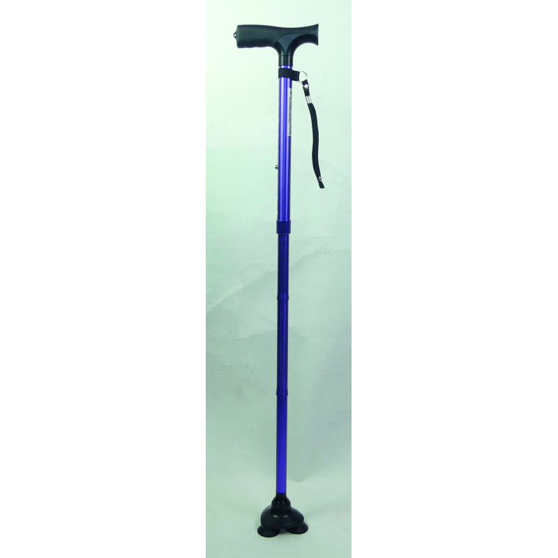 Canne Stabilicane violette