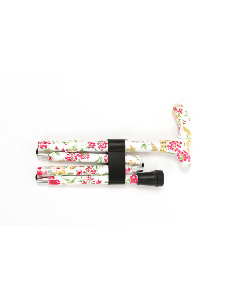 Cannes fixe forales FLORA 1