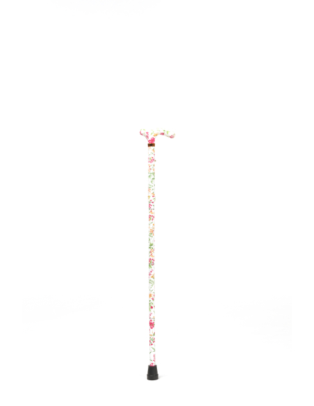 Cannes fixe forales FLORA 3