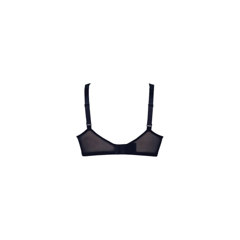 Orely