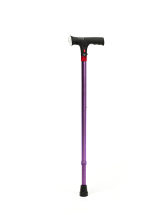 Canne électra VIOLETTE