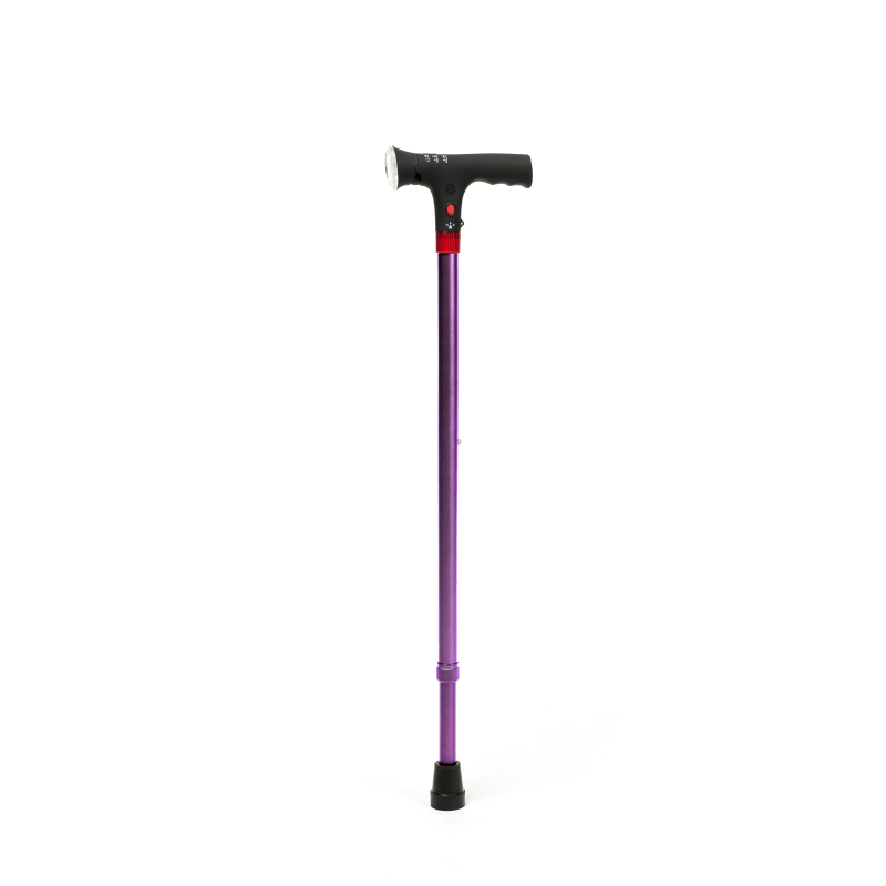 Canne électra VIOLETTE