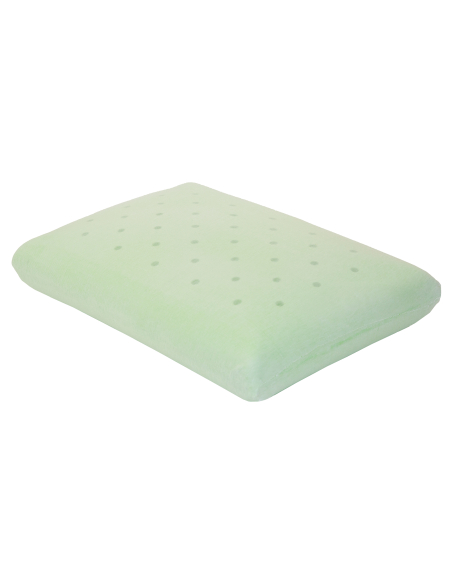 OREILLER MEMOIRE FORME SOUPLE DERMOFRESH