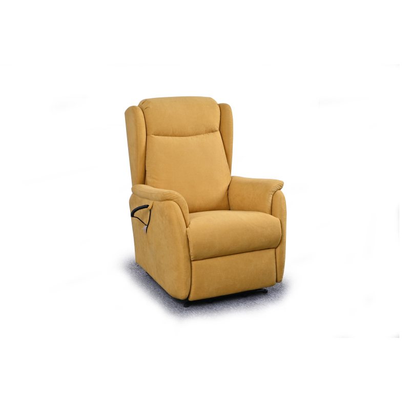 FAUTEUIL RELEVEUR CAGLIARI 2 MOTEURS...