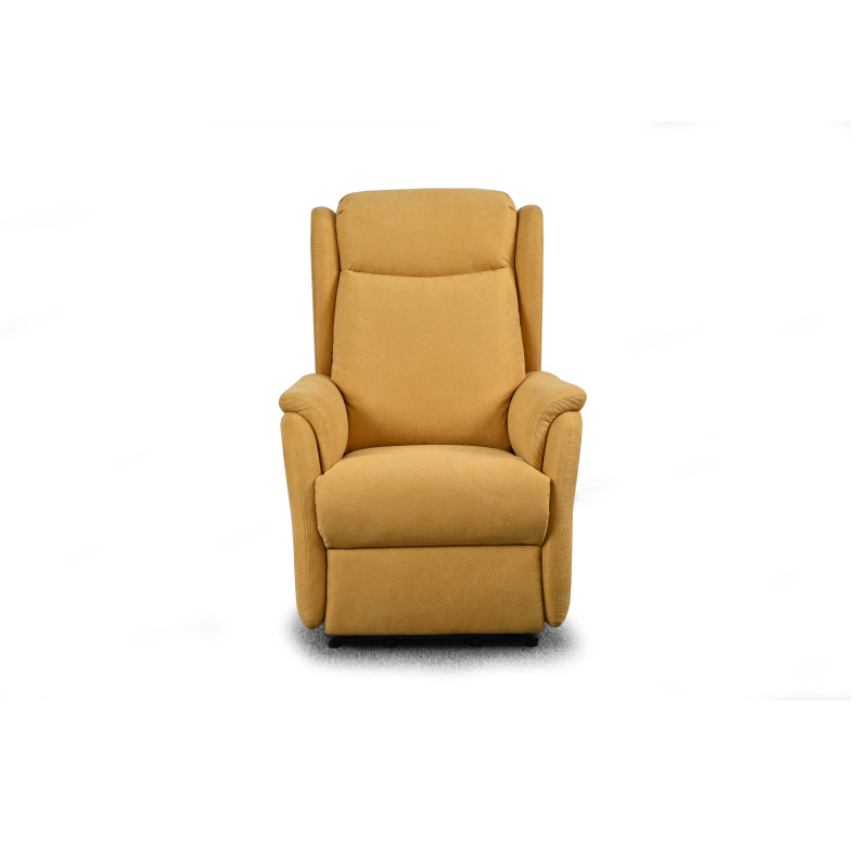 FAUTEUIL RELEVEUR CAGLIARI 2 MOTEURS...