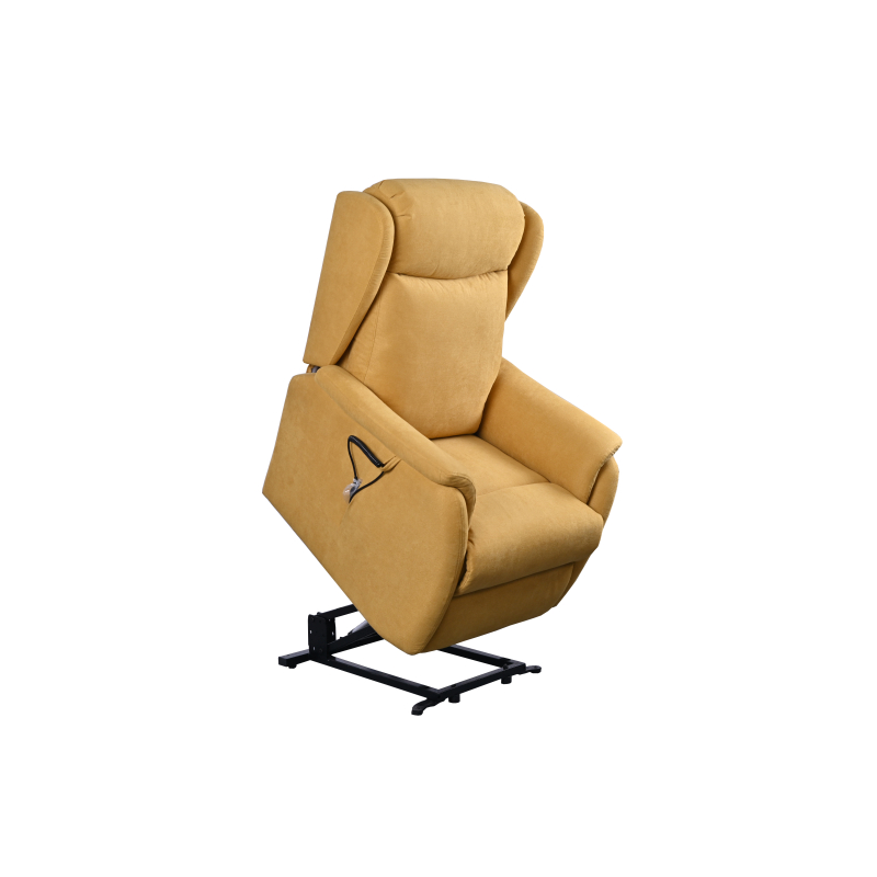 FAUTEUIL RELEVEUR CAGLIARI 2 MOTEURS...