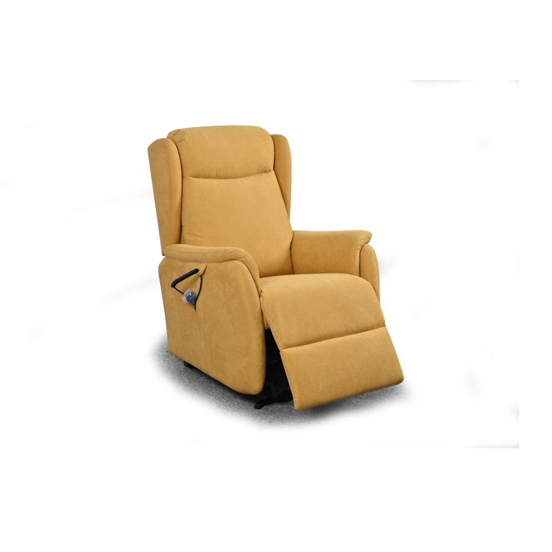 FAUTEUIL RELEVEUR CAGLIARI 2 MOTEURS...